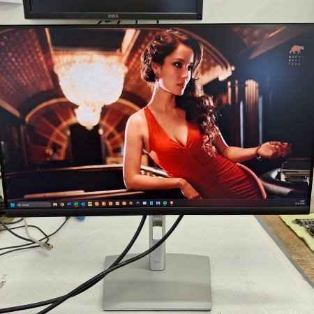 Monitor, 61 cm (24''), DELL Professional P2422H... ugodna cena / kvaliteta A-