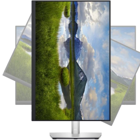 Monitor, 61 cm (24''), DELL Professional P2423