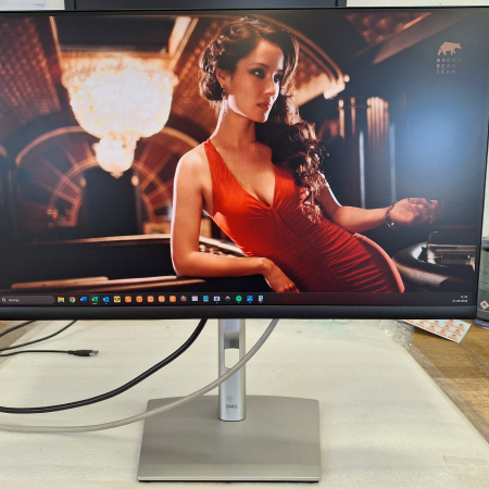 Monitor, 61 cm (24''), DELL Professional P2422H... ugodna cena / kvaliteta A-